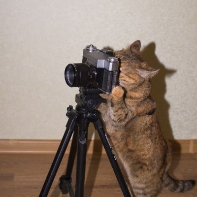 mongduck_zip's profile picture. filmed by @mongduck_