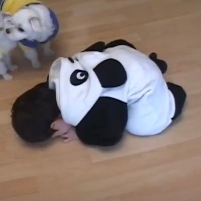 aku lesbi anjay