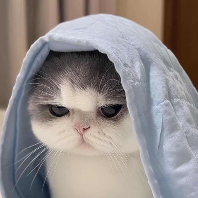 bubbleconme_'s profile picture. bebebibubblec: