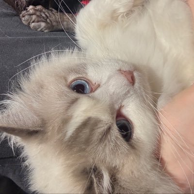 harpiismylover's profile picture. ไม่ใช่ติ่งเกาหลี ไม่ใช่สาววาย แค่ชอบตามเกาหลีและอ่านนิยายเกเฉยๆ