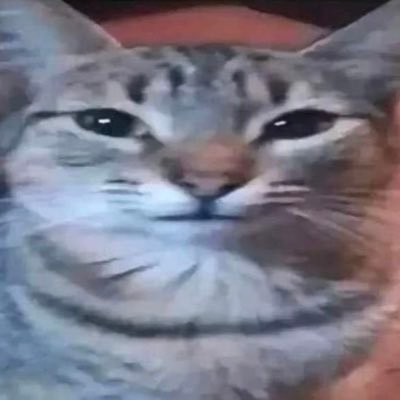 mathhijazi_'s profile picture. 