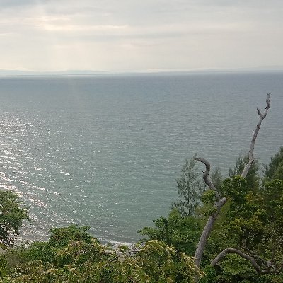 SrijalMuh's profile picture. 