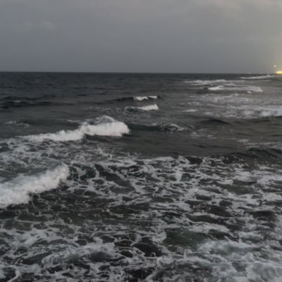 Nonie__7's profile picture. .