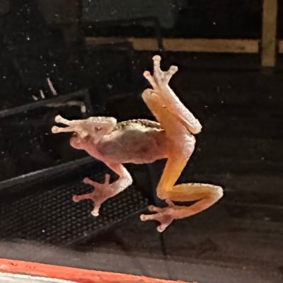 Tsharp6101's profile picture. wvu alum’