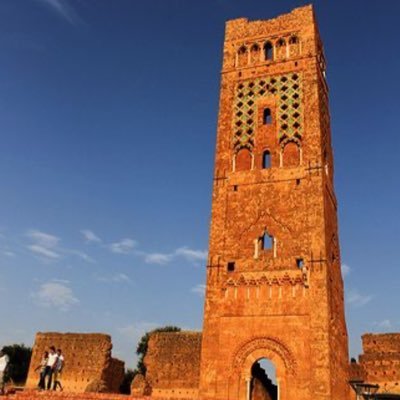 Vex_irl's profile picture. est-ce que j’ai tort? non? je savais.