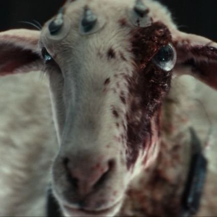 JimmyBoyBacon's profile picture. Always Angry.

Deleted old account with followers and real name. I will leave for good if I ever have to pay actual US dollars.