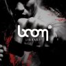 BOOMlibrary's profile picture. Founded in 2010 by award winning audio guys from Dynamedion. Our mission: provide top notch sound effects and source recordings in high definition.