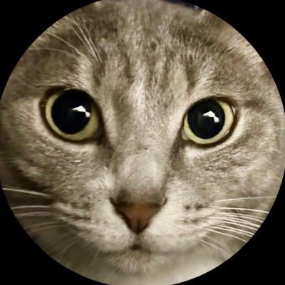 ner_________'s profile picture. @aNo2mass 🦷🐭🩵🙀🦴