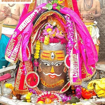 पूर्व प्रदेश अध्यक्ष,भारतीय जनता मजदूर मोर्चा मध्य प्रदेश (BJP)