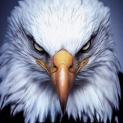 @4djtAmerica24