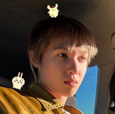 pompomlore's profile picture. 
