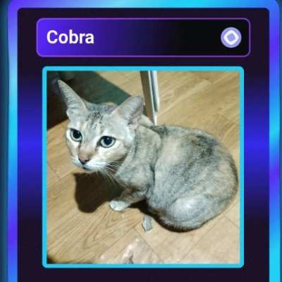 JamesCesar78442's profile picture. Web3
Exploring the purple chain 💜