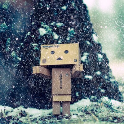 ElAmo24's profile picture. Si ves al futuro, dile que no venga