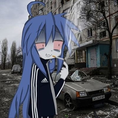 alexoshino69's profile picture. weeb who likes metal
the south shall rise again