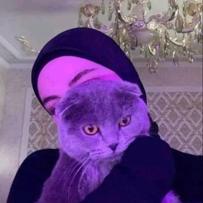 ام بيسوو 🐈⬛🐈ترحب بكم ...
كنعانيه فلسط بكل فخر معلش سامحوني تحملوني مجنونه و باخد دواء 😁