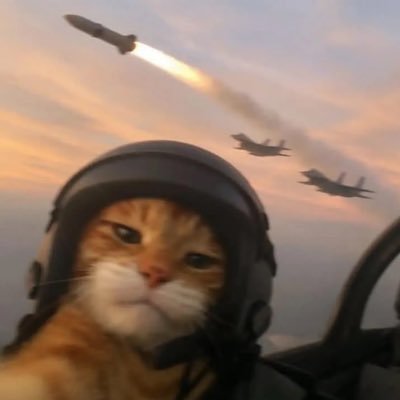 Macexbt_'s profile picture. Addicted to charts. Growing the best brands in Crypto. 族 
@zokuxyz