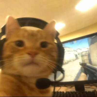 folkcs9's profile picture. Web Developer | Crypto Enthusiast