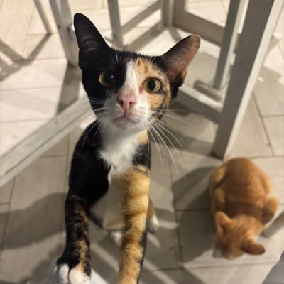 greybreathe's profile picture. 