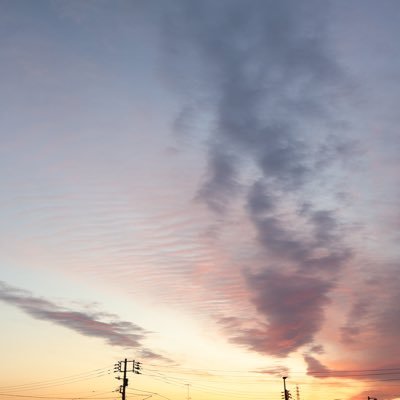 libc_9's profile picture. アイコンよく変わります𓃠⸝⸝꙳