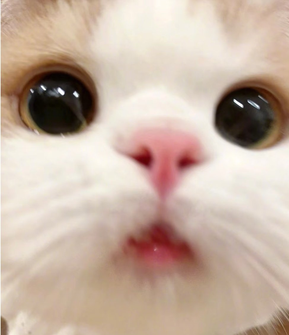 guarre265593's profile picture. 
