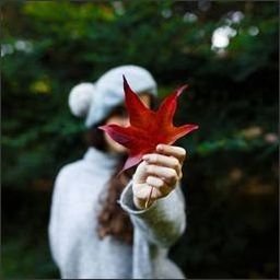 koivix212853's profile picture. Gods determine what you're going to be