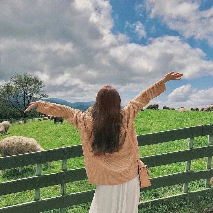 rheeloo135757's profile picture. 