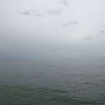 wjpgxc5jst's profile picture. 