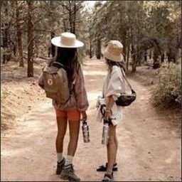 Dricea53387's profile picture. When nothing goes right, go left.