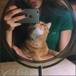 Bauvep5203's profile picture. Collect moments, not things.