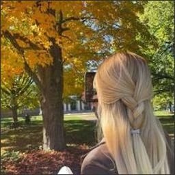 Orvalalgar0503's profile picture. She was a wildflower in a sea of roses.