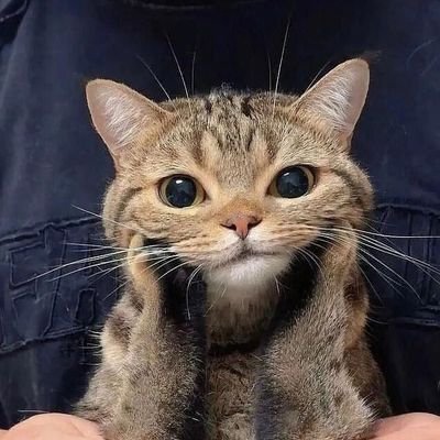 JayTank25126136's profile picture. behold my land of the fucks I give 
P.S. - it's barren