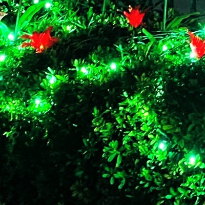 rainight_t's profile picture. 文学が好き📚/短歌を詠んだり小説を書いたり/勉強したいです🔰/理系大学生🧪