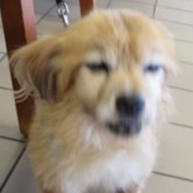 mellowmiss1's profile picture. 