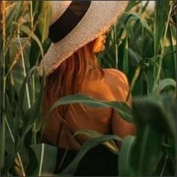 ausaxor86645's profile picture. You don’t have to be perfect to be amazing.