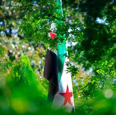 2011_evol's profile picture. سوريا الجديدة 🇸🇾