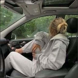 fwalfor27121's profile picture. Too glam to give a damn.