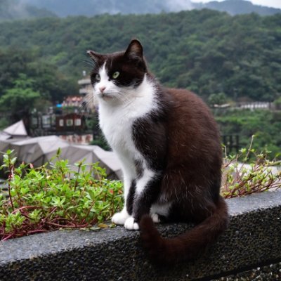 Wuckdybek's profile picture. 日本の景色、文化、人の優しさ…全部が私の癒しです🌿💖
JLPT：N5