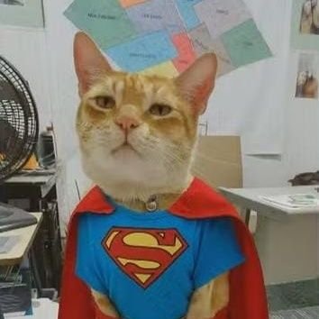 flaleafar03's profile picture. @Flamengo