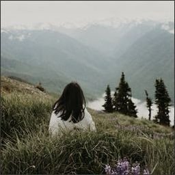 toluwalope97401's profile picture. 