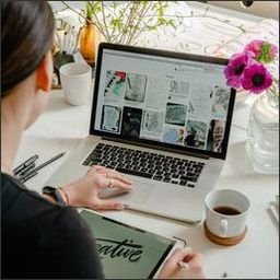 staylorgow97584's profile picture. 