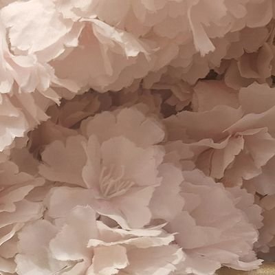 project_aya_'s profile picture. Creating and capturing the best moments