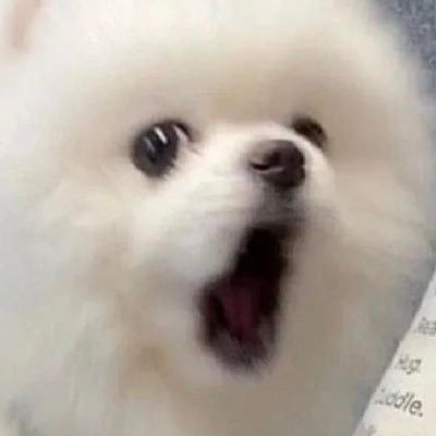 Neco_Sui12's profile picture. @dokuqzフォロバ100