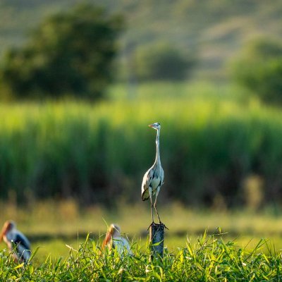Sk100495's profile picture. Railophile 🚂
ଜୟ ଜଗନ୍ନାଥ 🙏
जय श्री राम....