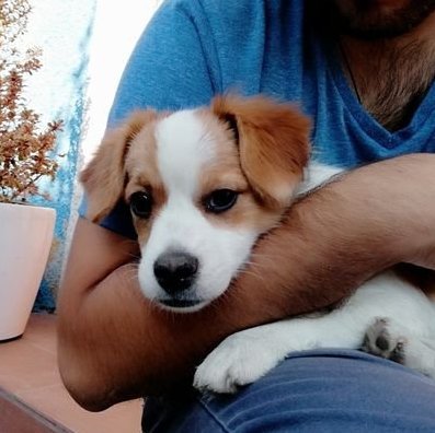 JHansford13562's profile picture. 