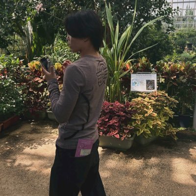 birkenmr's profile picture. 