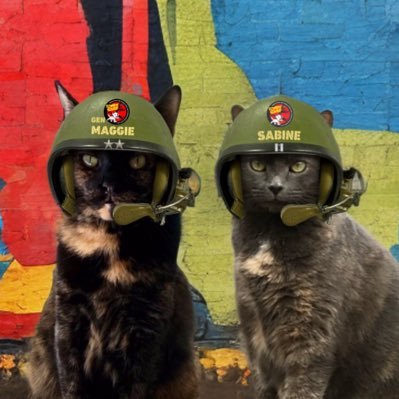 #ZSHQ General Maggie & Rear Adm. Sabine *Thor was RADM in #ZSHQ. #Weeti #TheRuffRiderz #WLF. OTRB🌈 3/18/20* *Jadzia🌈 7/2/20* *Rey🌈 6/27/22* *Glenn🌈 3/16/23*