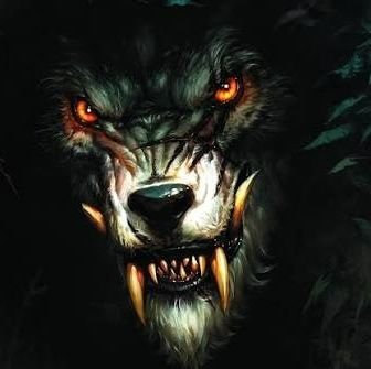 wardarkness50's profile picture. 