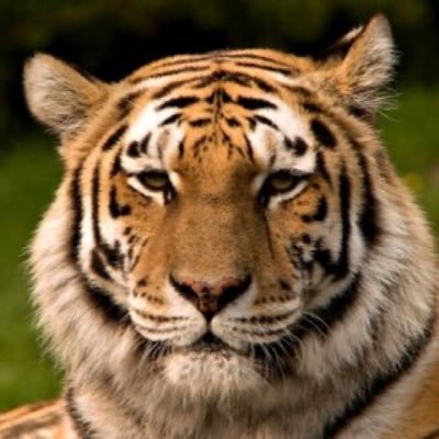 jaircedeno80's profile picture. Medicina Pro Envejecimiento I Gerencia Hospitalaria I Derecho Médico Sanitario I Gobierno y Políticas Públicas I Gerencia Politica #UribeEsInocente🐅