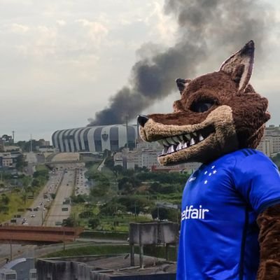 Torcedor do Cruzeiro- Maior de Minas.
Um gigante incontestado no presente e no passado.