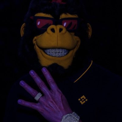 F3Gitt's profile picture. “FEG Army 🦍 | DeFi revolutionist | Believer in 1000x potential 🚀 | #FEGtoken #BinanceGorilla